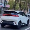 Seagull 2025 305km Vitality Edition