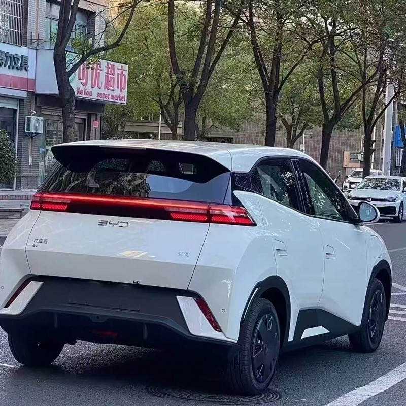 Seagull 2025 305km Vitality Edition Seagull 2025 305km Vitality Edition