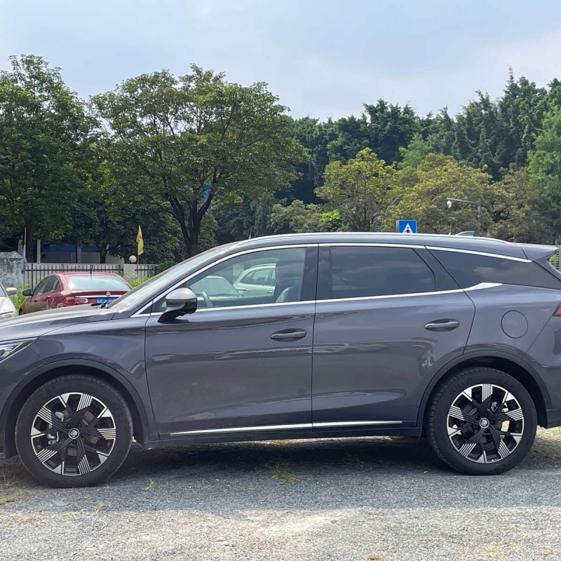 Tang New Energy 2024 DM-i Honor Edition 112KM Flagship Model Tang New Energy 2024 DM-i Honor Edition 112KM Flagship Model