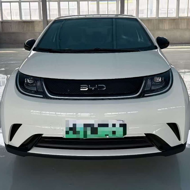 Dolphin 2024 Glory Edition 420km Fashion Edition Dolphin 2024 Glory Edition 420km Fashion Edition