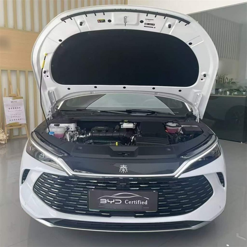 Qin L 2024 DM-i 120KM Beyond Edition Qin L 2024 DM-i 120KM Beyond Edition