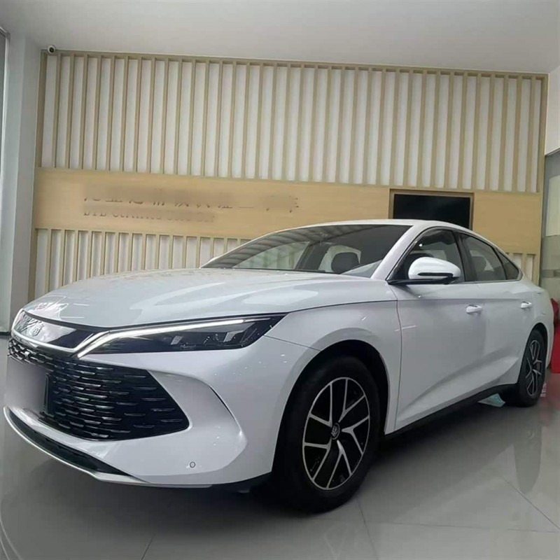 Qin L 2024 DM-i 120KM Beyond Edition