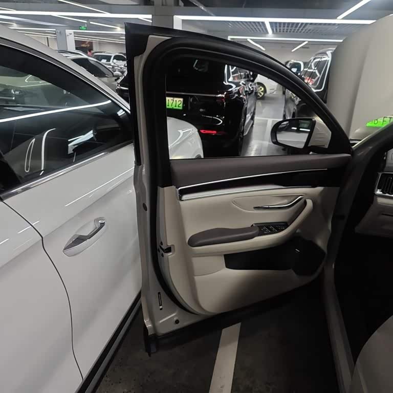 Song PLUS New Energy 2025 DM-i 112KM Premium Edition Song PLUS New Energy 2025 DM-i 112KM Premium Edition