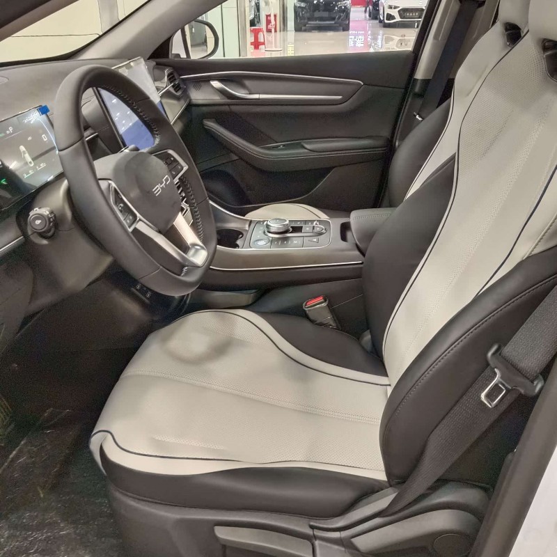 Destroyer 05 2024 Glory Edition DM-i 55KM Luxury Model Destroyer 05 2024 Glory Edition DM-i 55KM Luxury Model