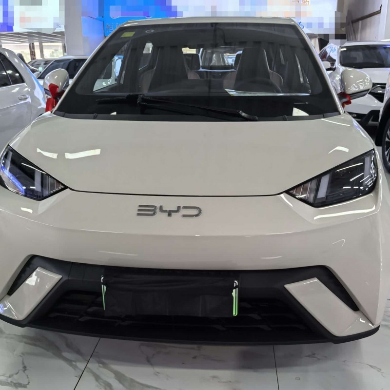 Seagull 2025 305km Freedom Edition Seagull 2025 305km Freedom Edition
