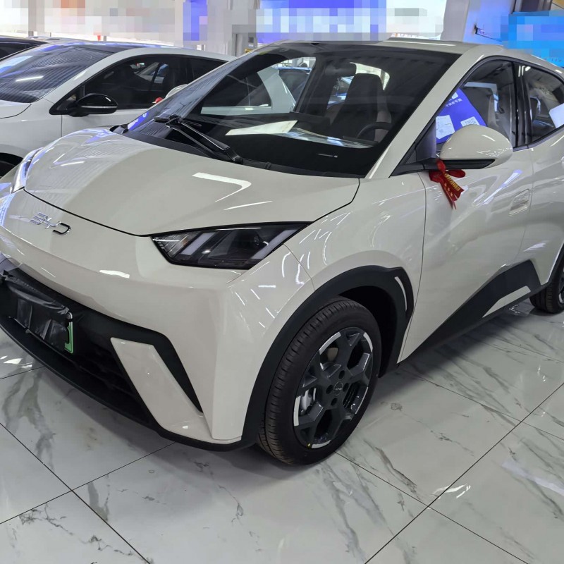 Seagull 2025 305km Freedom Edition