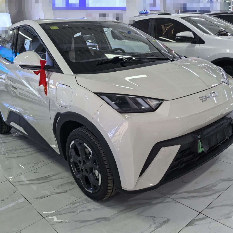 Seagull 2025 305km Freedom Edition Seagull 2025 305km Freedom Edition