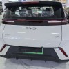 Seagull 2025 305km Freedom Edition