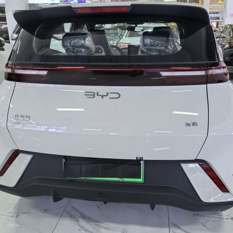 Seagull 2025 305km Freedom Edition Seagull 2025 305km Freedom Edition