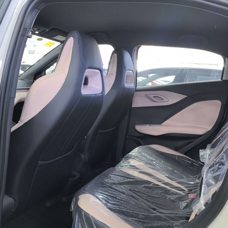 Seagull 2025 305km Freedom Edition Seagull 2025 305km Freedom Edition