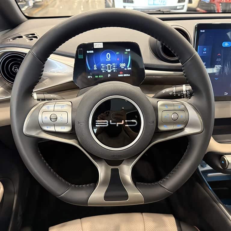 Dolphin 2024 Glory Edition 420km Fashion Edition Dolphin 2024 Glory Edition 420km Fashion Edition
