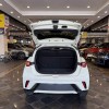 Dolphin 2024 Glory Edition 420km Fashion Edition Dolphin 2024 Glory Edition 420km Fashion Edition