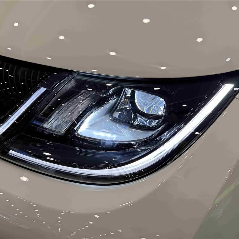 Dolphin 2024 Glory Edition 420km Fashion Edition Dolphin 2024 Glory Edition 420km Fashion Edition