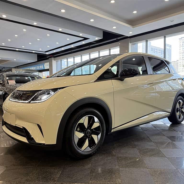 Dolphin 2024 Glory Edition 420km Fashion Edition Dolphin 2024 Glory Edition 420km Fashion Edition