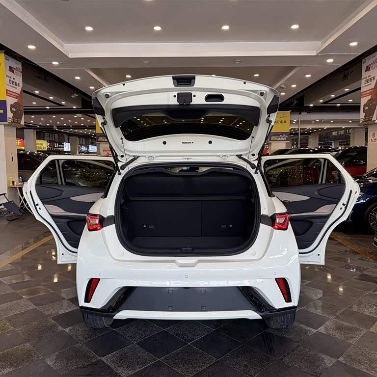 Dolphin 2024 Glory Edition 420km Fashion Edition Dolphin 2024 Glory Edition 420km Fashion Edition