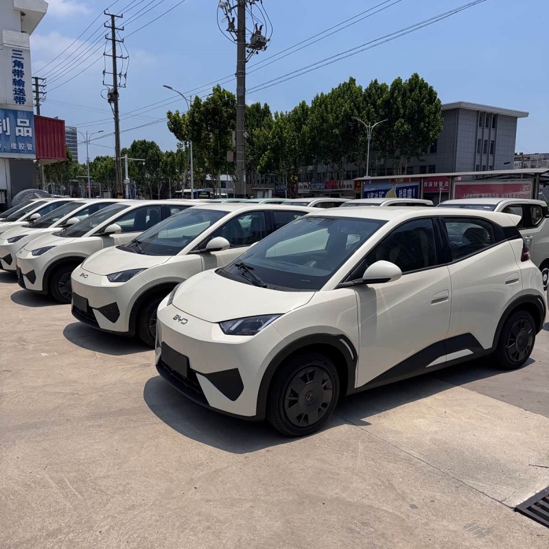 Seagull 2025 305km Vitality Edition Seagull 2025 305km Vitality Edition