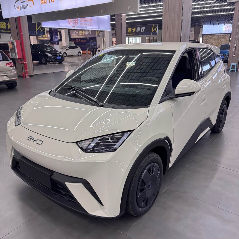 Seagull 2025 305km Vitality Edition Seagull 2025 305km Vitality Edition