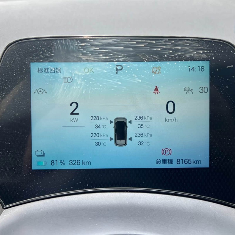 Dolphin 2024 Glory Edition 401km Knight Edition Dolphin 2024 Glory Edition 401km Knight Edition