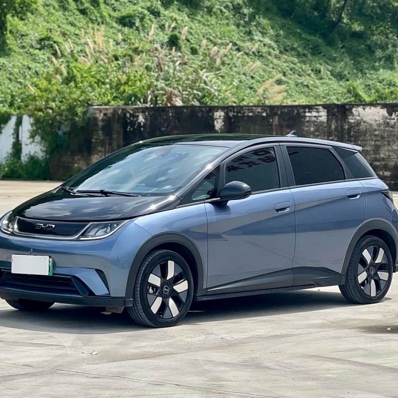 Dolphin 2024 Glory Edition 401km Knight Edition Dolphin 2024 Glory Edition 401km Knight Edition