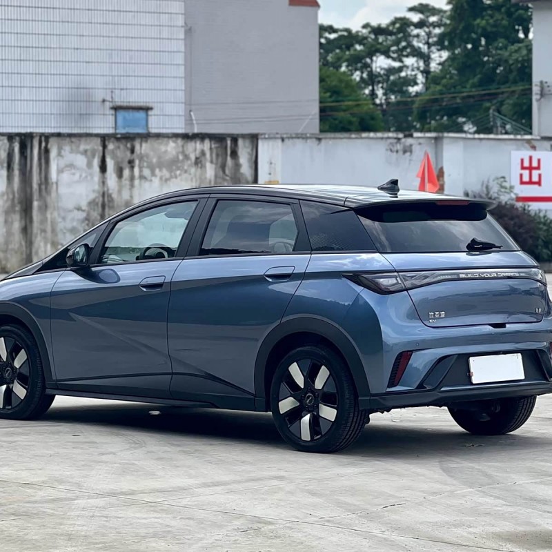 Dolphin 2024 Glory Edition 401km Knight Edition Dolphin 2024 Glory Edition 401km Knight Edition