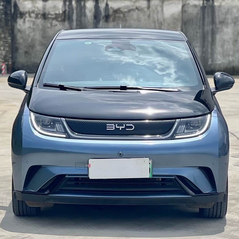 Dolphin 2024 Glory Edition 401km Knight Edition Dolphin 2024 Glory Edition 401km Knight Edition