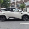 Seagull 2025 Smart Driving Edition 305km Free Edition