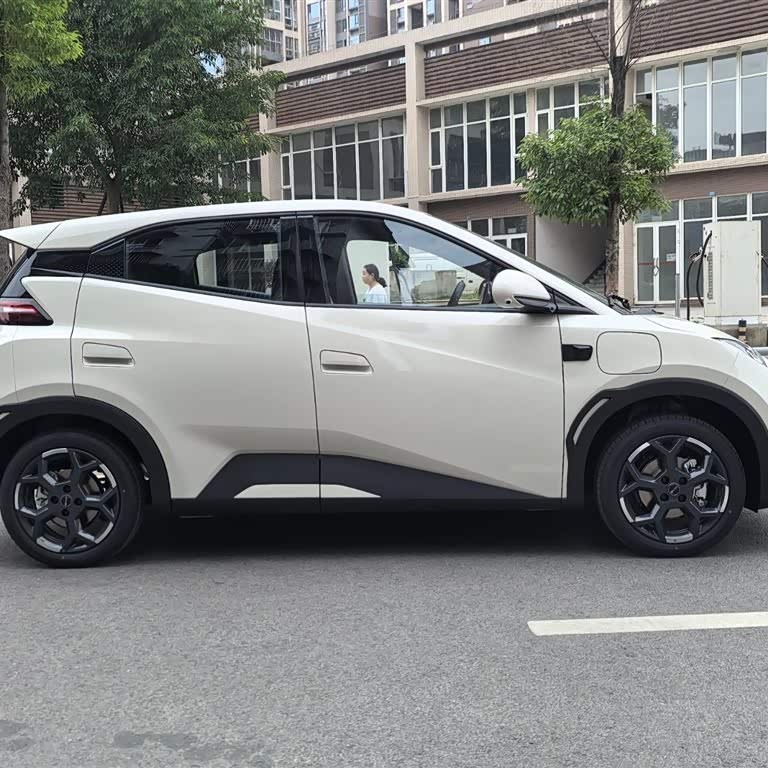 Seagull 2025 Smart Driving Edition 305km Free Edition Seagull 2025 Smart Driving Edition 305km Free Edition