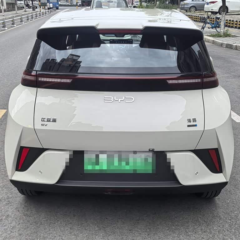 Seagull 2025 Smart Driving Edition 305km Free Edition Seagull 2025 Smart Driving Edition 305km Free Edition