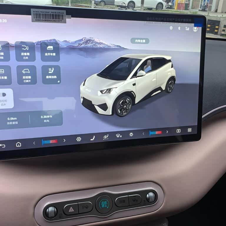 Seagull 2025 Smart Driving Edition 305km Free Edition Seagull 2025 Smart Driving Edition 305km Free Edition