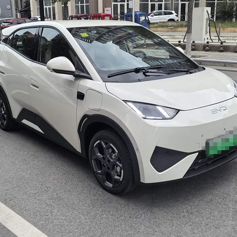 Seagull 2025 Smart Driving Edition 305km Free Edition Seagull 2025 Smart Driving Edition 305km Free Edition