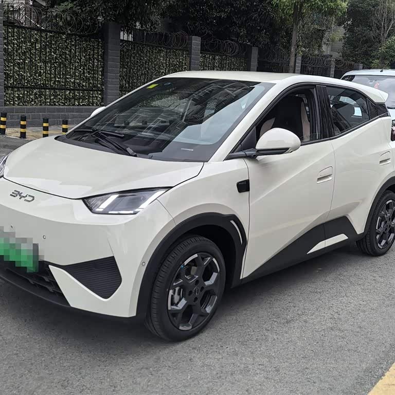 Seagull 2025 Smart Driving Edition 305km Free Edition