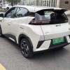 Seagull 2025 Smart Driving Edition 305km Free Edition