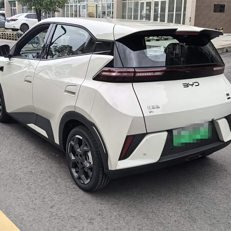 Seagull 2025 Smart Driving Edition 305km Free Edition Seagull 2025 Smart Driving Edition 305km Free Edition