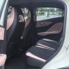 Seagull 2025 Smart Driving Edition 305km Free Edition