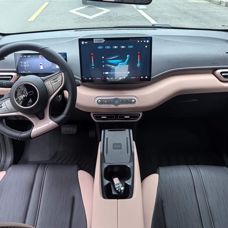 Seagull 2025 Smart Driving Edition 305km Free Edition Seagull 2025 Smart Driving Edition 305km Free Edition
