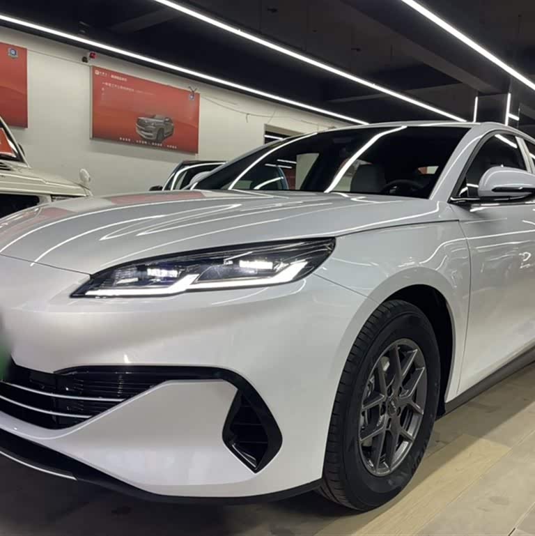 Haibao 06 New Energy 2024 DM-i 80KM Luxury Edition