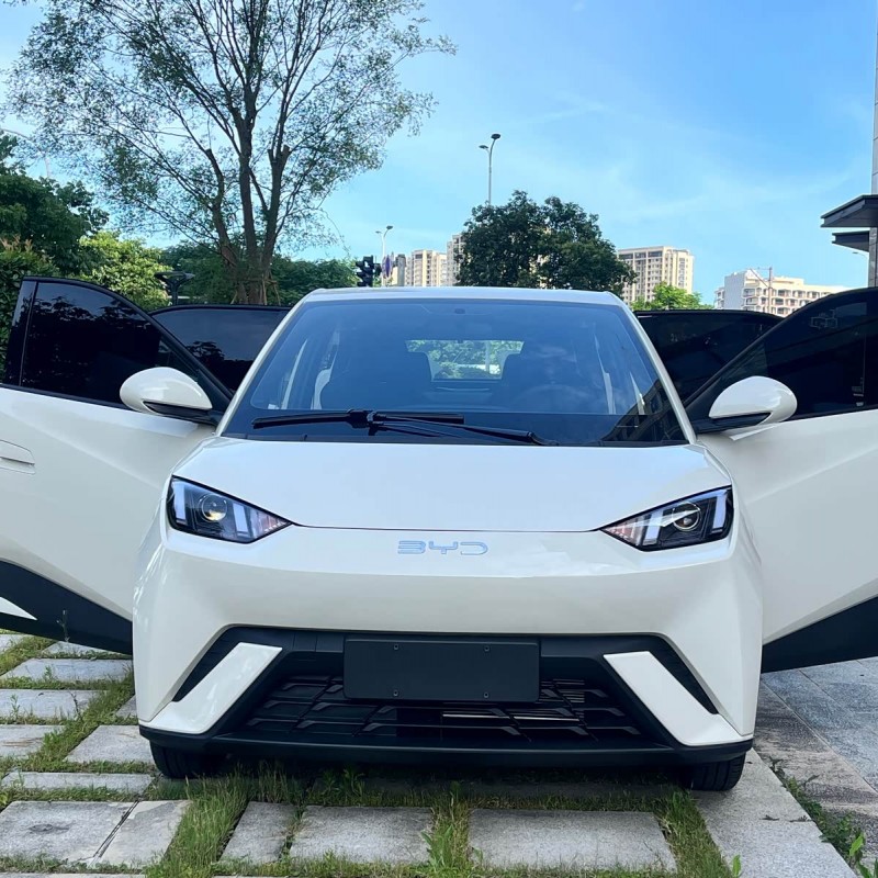 Seagull 2025 305km Vitality Edition Seagull 2025 305km Vitality Edition