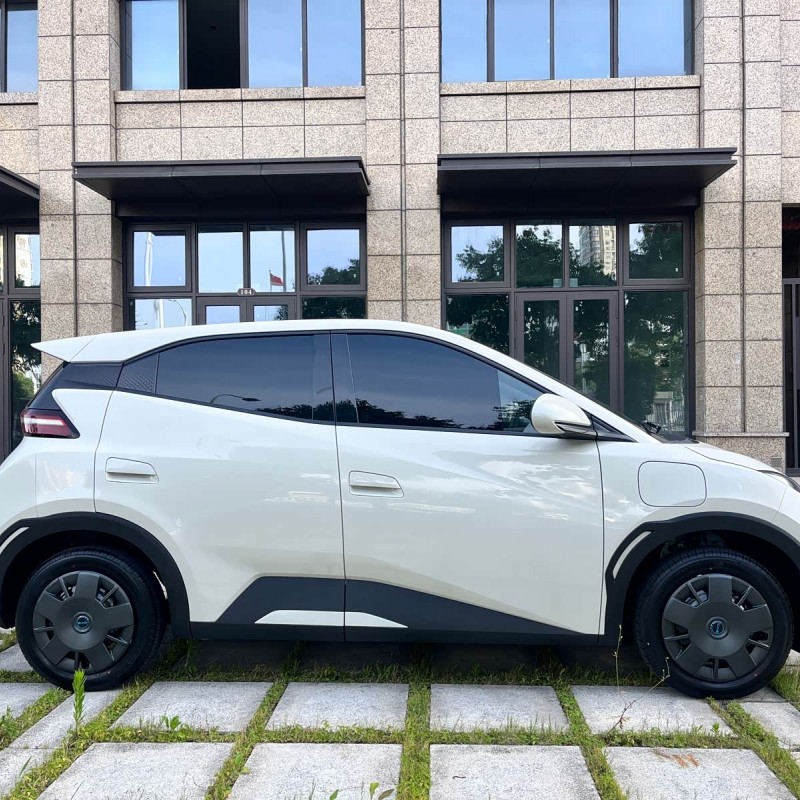 Seagull 2025 305km Vitality Edition Seagull 2025 305km Vitality Edition