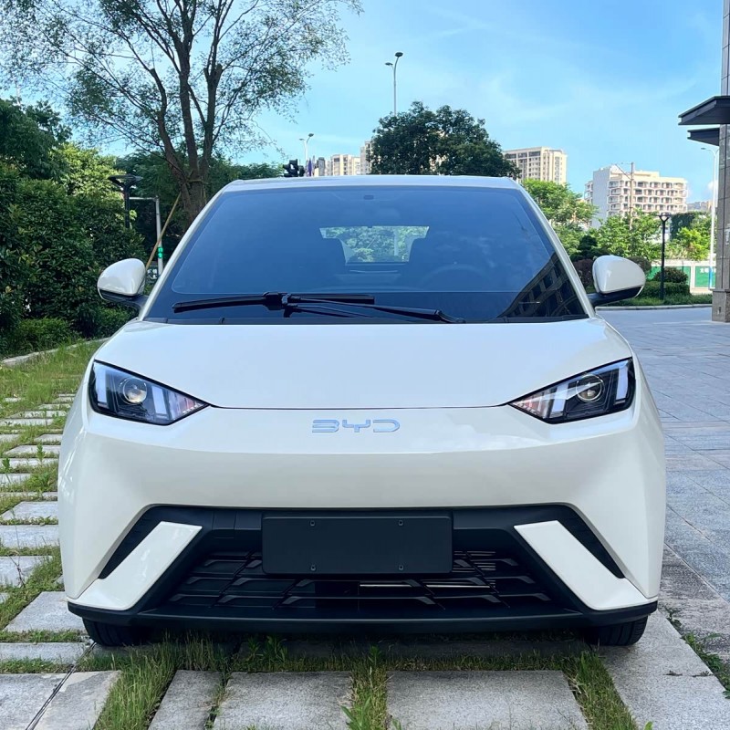 Seagull 2025 305km Vitality Edition Seagull 2025 305km Vitality Edition