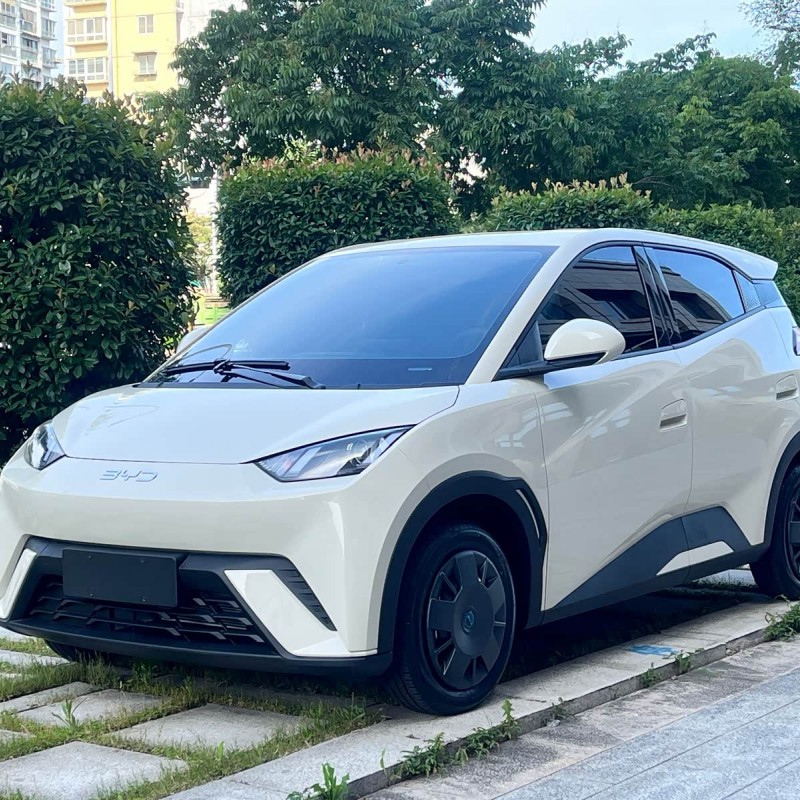 Seagull 2025 305km Vitality Edition Seagull 2025 305km Vitality Edition