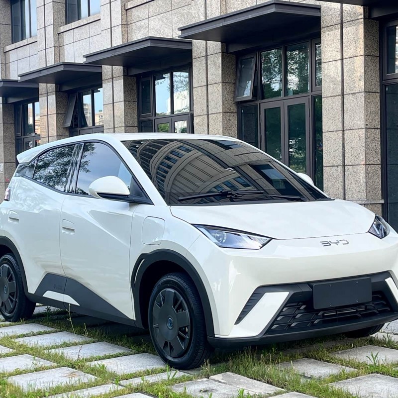 Seagull 2025 305km Vitality Edition Seagull 2025 305km Vitality Edition