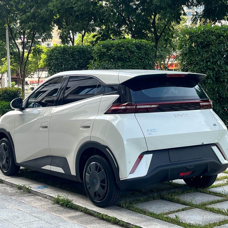 Seagull 2025 305km Vitality Edition Seagull 2025 305km Vitality Edition
