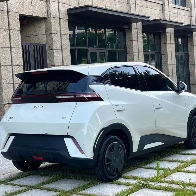 Seagull 2025 305km Vitality Edition Seagull 2025 305km Vitality Edition