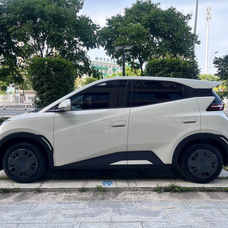 Seagull 2025 305km Vitality Edition Seagull 2025 305km Vitality Edition