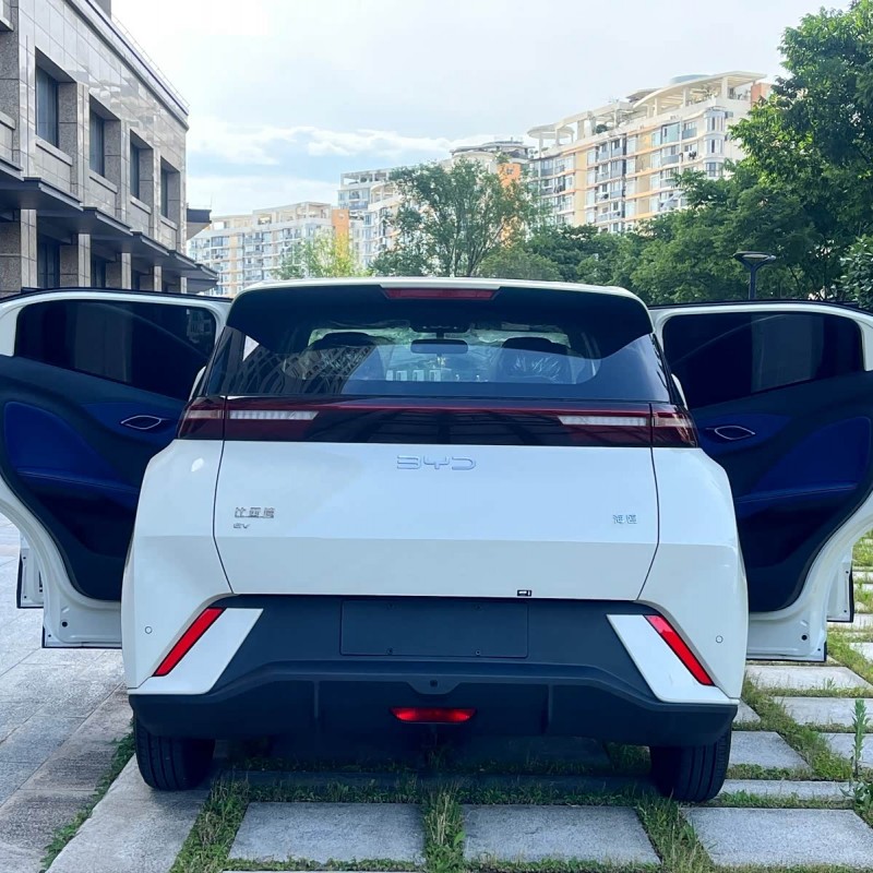 Seagull 2025 305km Vitality Edition Seagull 2025 305km Vitality Edition