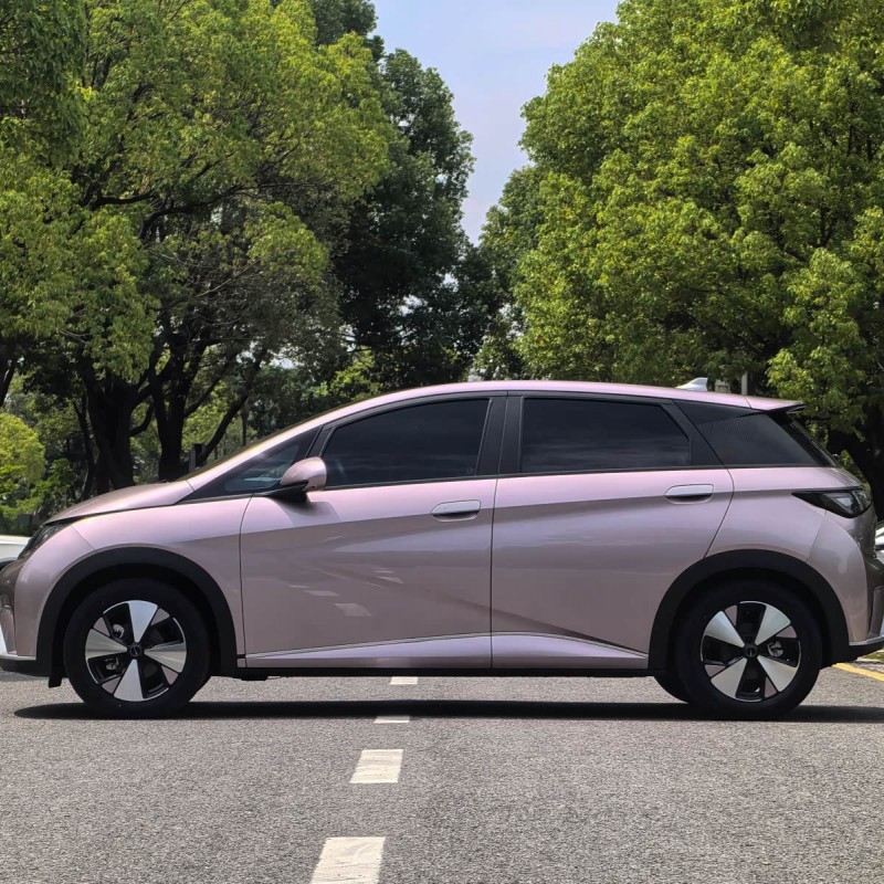 Dolphin 2023 420km Fashion Edition Dolphin 2023 420km Fashion Edition