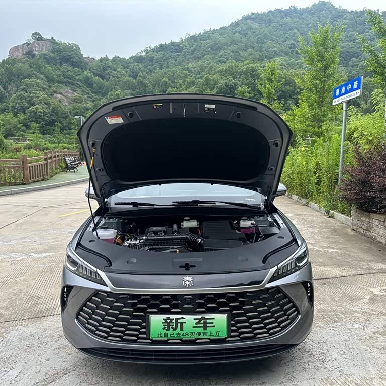 Qin PLUS 2025 DM-i Intelligent Driving Edition 55KM Beyond Edition Qin PLUS 2025 DM-i Intelligent Driving Edition 55KM Beyond Edition