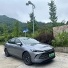 Qin PLUS 2025 DM-i Intelligent Driving Edition 55KM Beyond Edition
