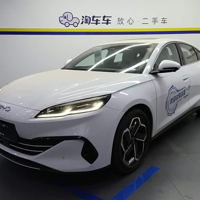 Haibao 06 New Energy 2024 DM-i 120KM Flagship Model