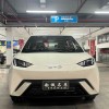 Seagull 2025 305km Vitality Edition